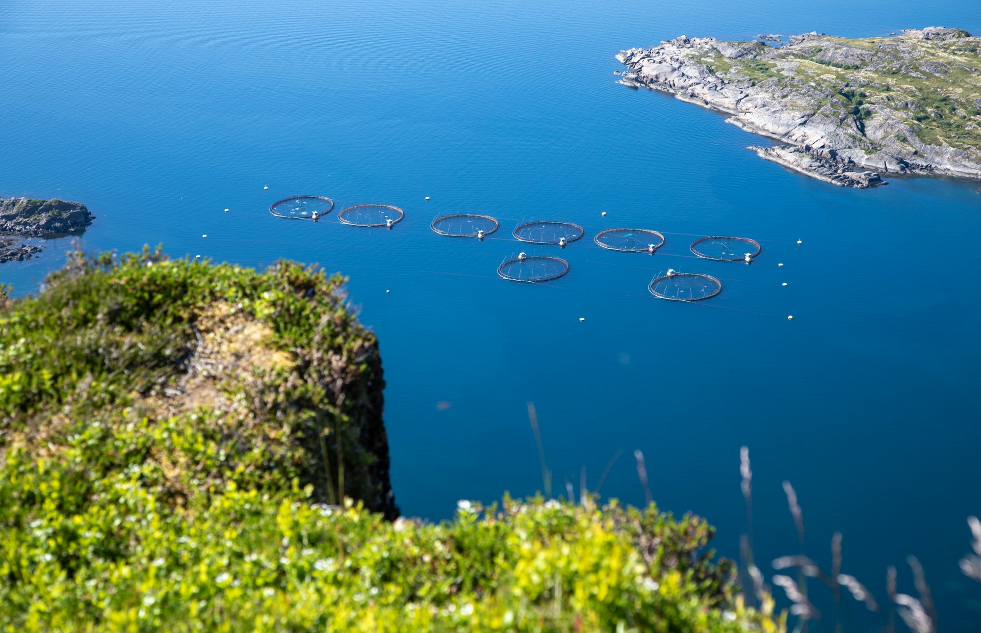 Oppdrettsanlegg med runde merder sett fra fjelltopp, dyp blå fjord.